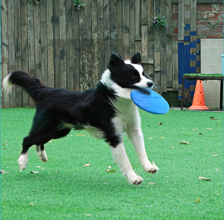 1x TPR Frisbee Dog Flying Disc Chasing Retrieving Chew Toy