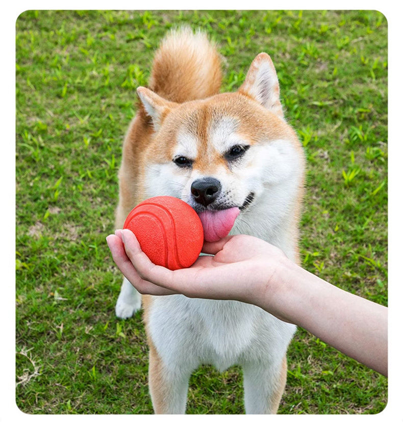 2x Red TPR Solid Ball Pet Toy Chew Toy Teething Aid