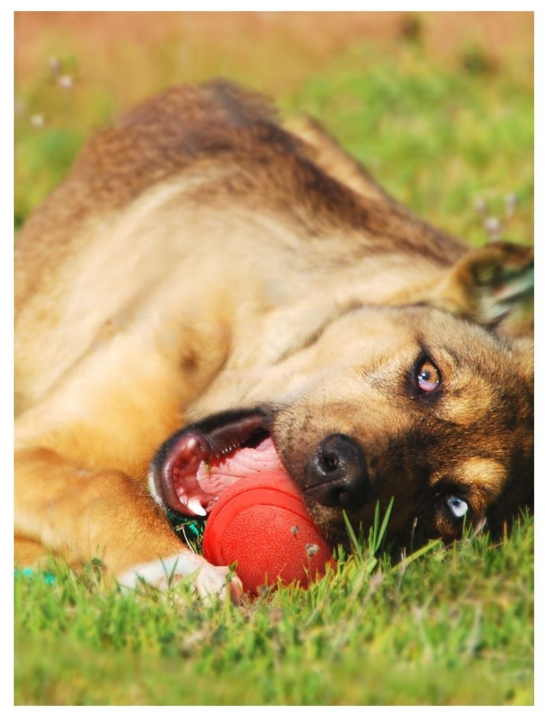 2x Red TPR Solid Ball Pet Toy Chew Toy Teething Aid