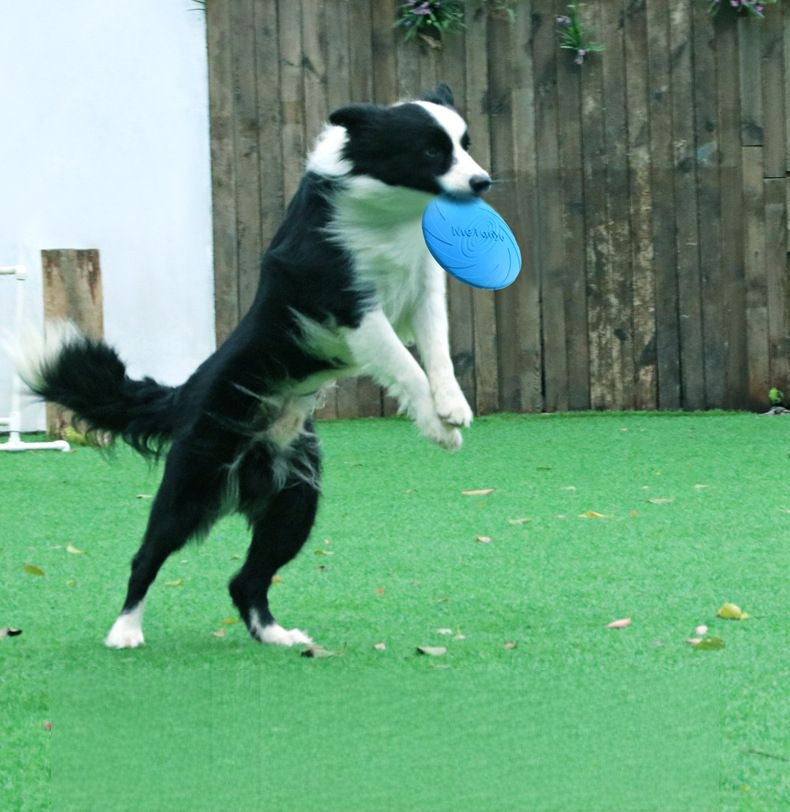 1x TPR Frisbee Dog Flying Disc Chasing Retrieving Chew Toy