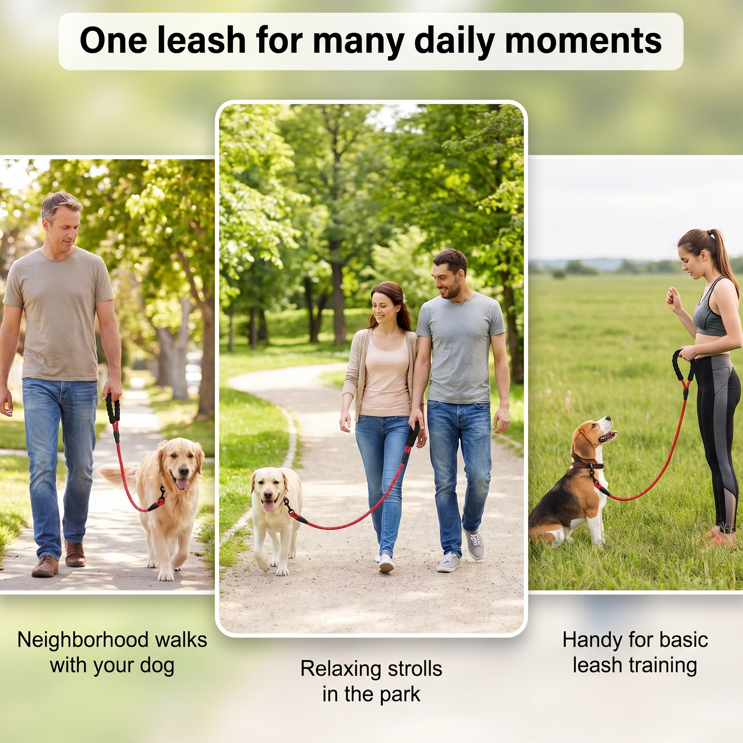 1x Dog Leash Reflective 2M Length 1.2cm DiameterIdeal Dog Walking Companion